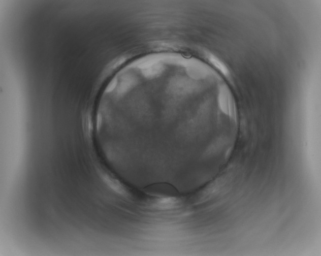 X0000111380059200907311102