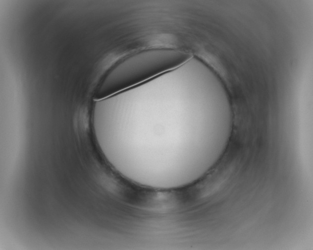 X0000111380060200907311102