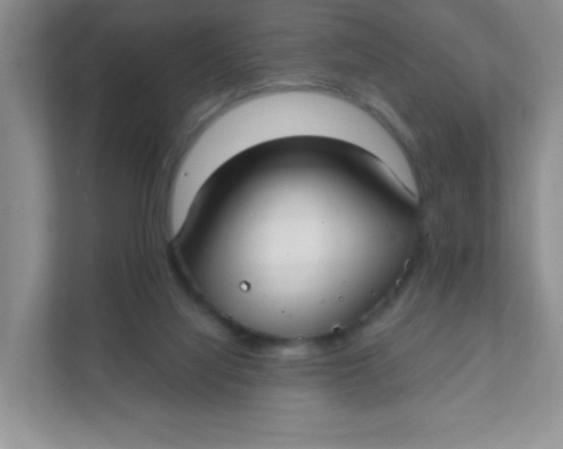 X0000111380068200907311102