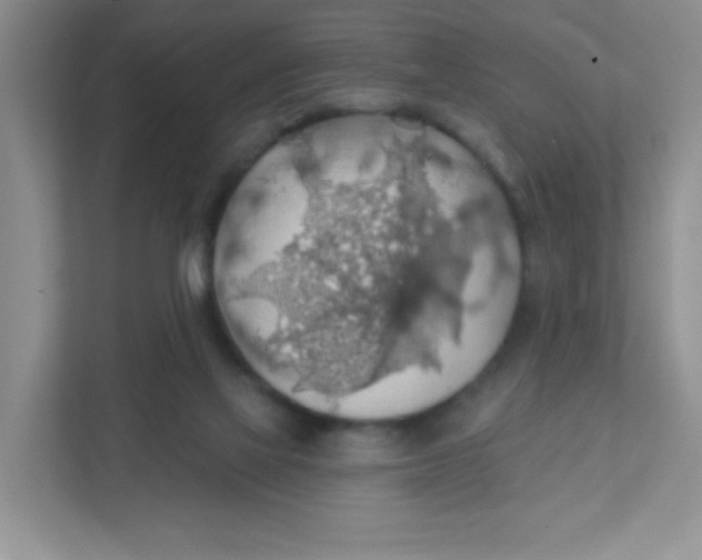 X0000111380069200907311102