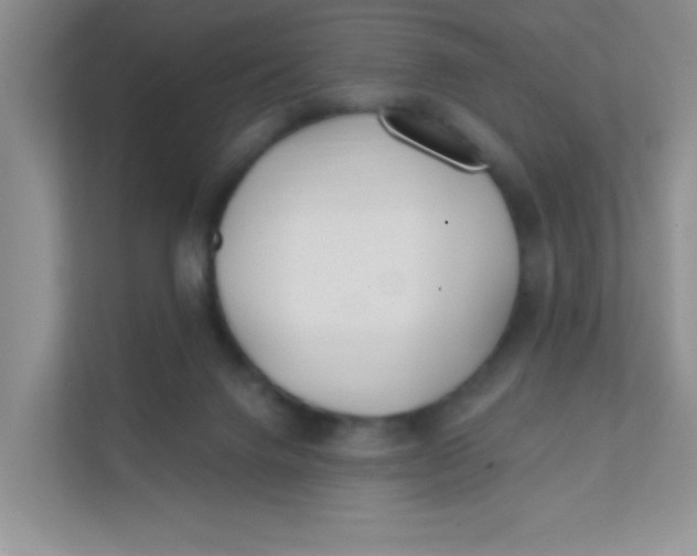 X0000111380072200907311102