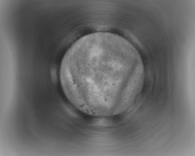 X0000111380074200907311102