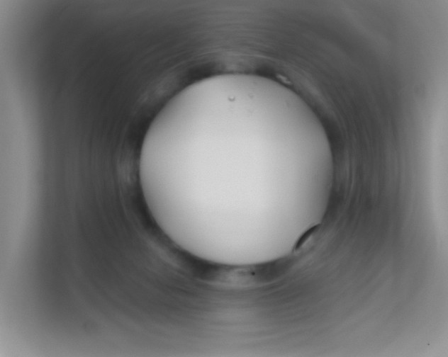 X0000111380078200907311102