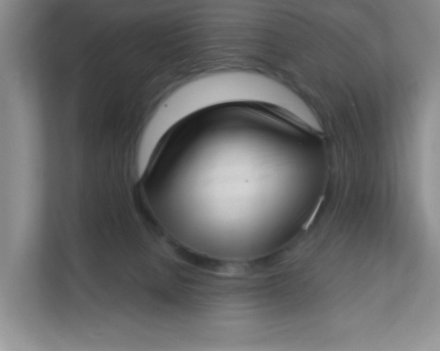 X0000111380080200907311102