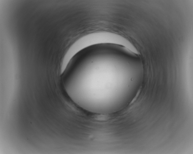 X0000111380088200907311102