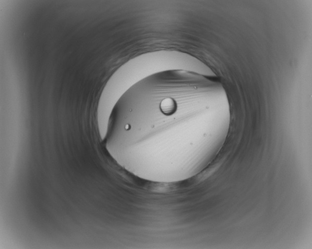 X0000111380096200907311102