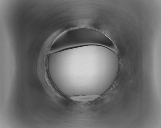 X0000111380097200907311101