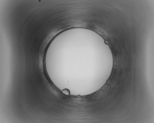 X0000111380098200907311101