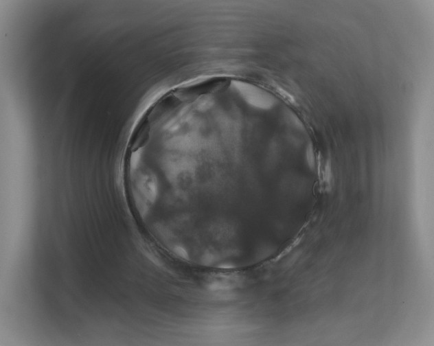 X0000111380099200907311101