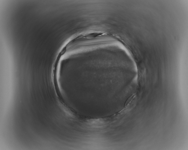 X0000111380100200907311101