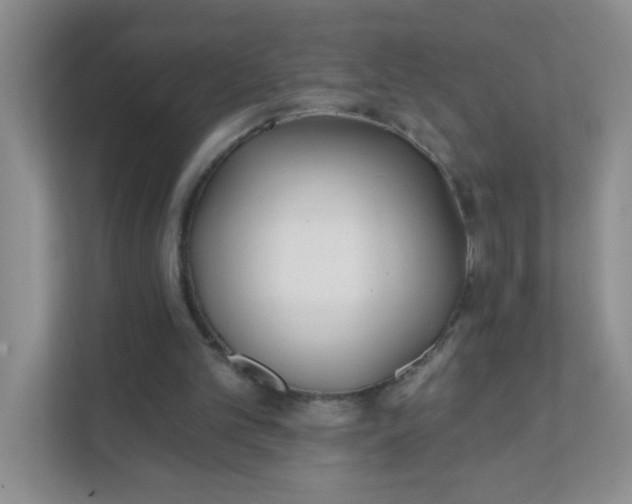 X0000111380101200907311101