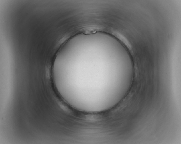 X0000111380105200907311101