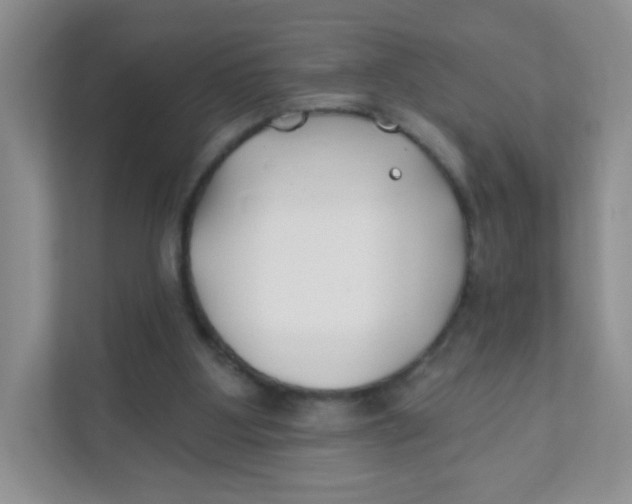 X0000111380107200907311101