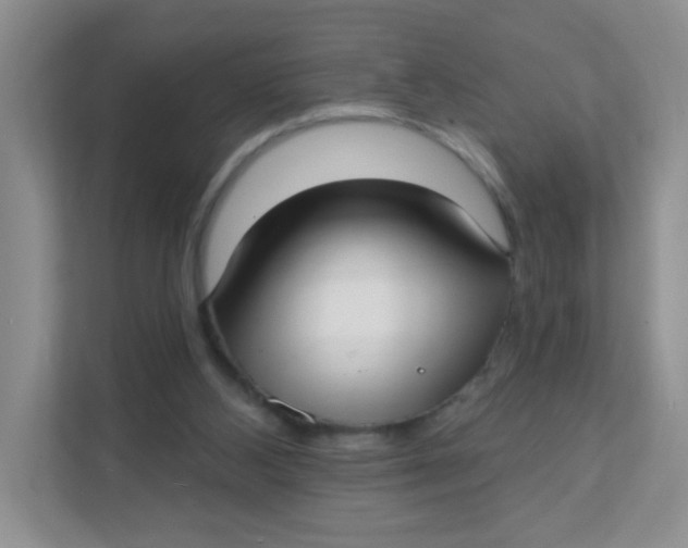 X0000111380108200907311101