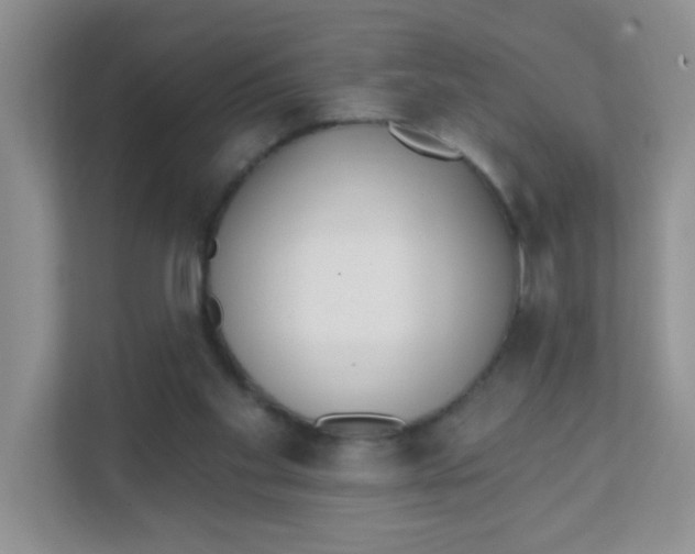 X0000111380109200907311101