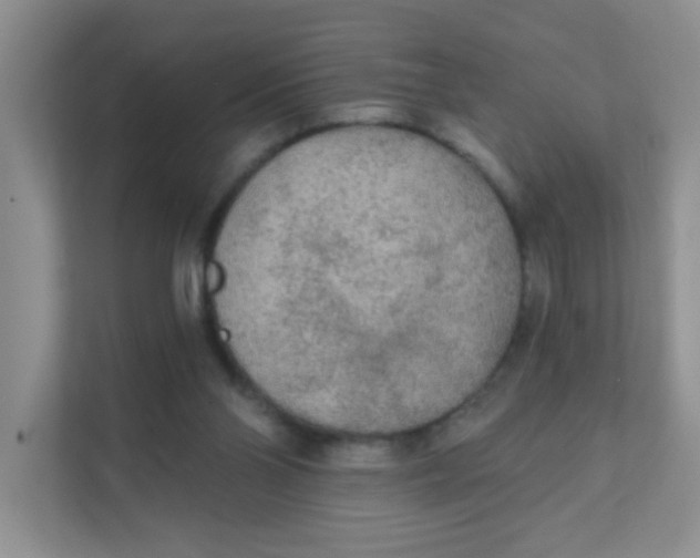 X0000111380110200907311101