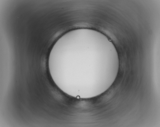 X0000111380111200907311101