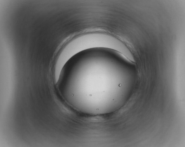 X0000111380112200907311101