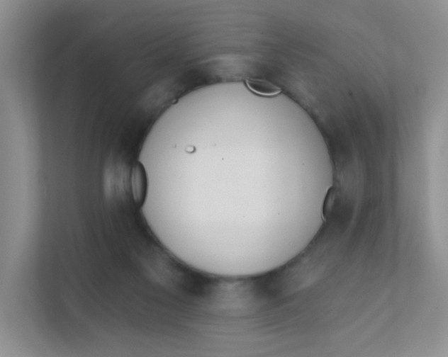 X0000111380117200907311101