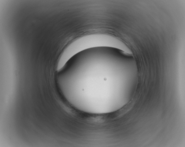 X0000111380120200907311101