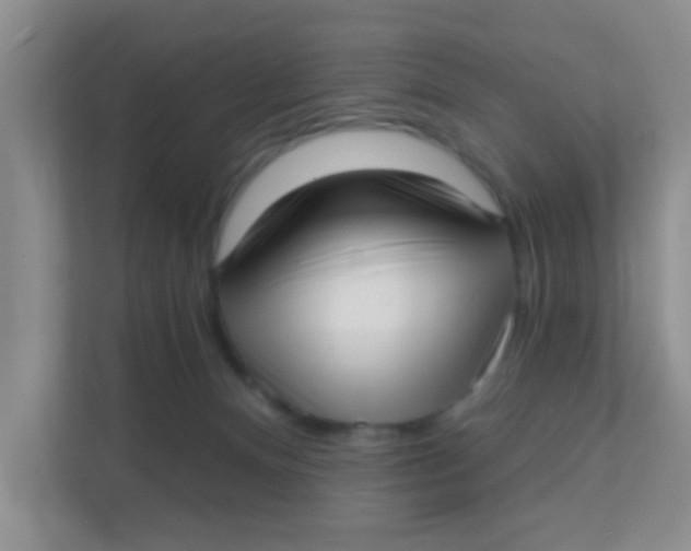 X0000111380128200907311101