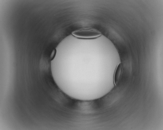 X0000111380129200907311101