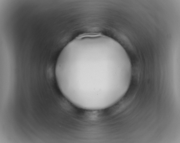 X0000111380131200907311101