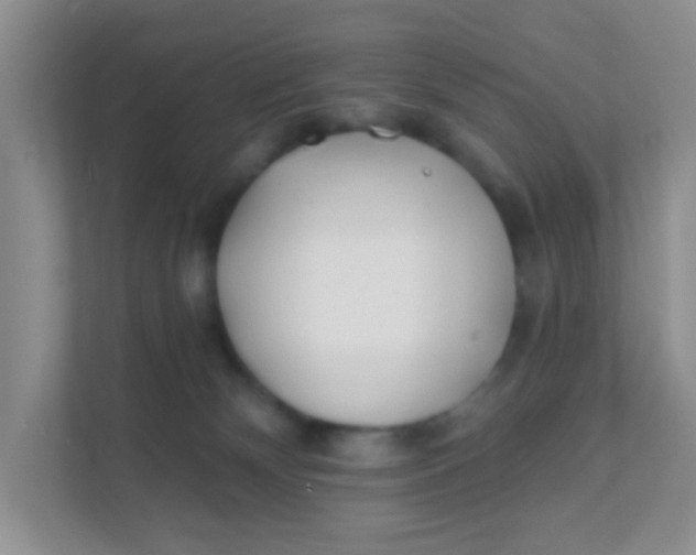 X0000111380132200907311101