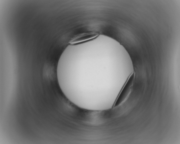 X0000111380136200907311101