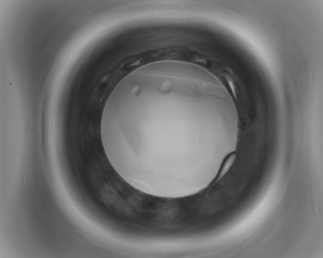 X0000111380143200907311101