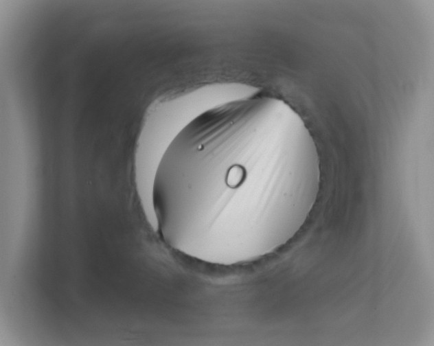 X0000111380144200907311101