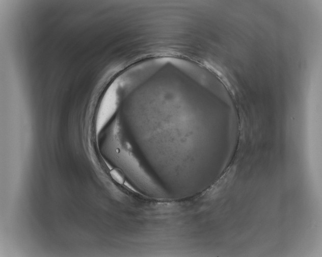 X0000111380145200907311100