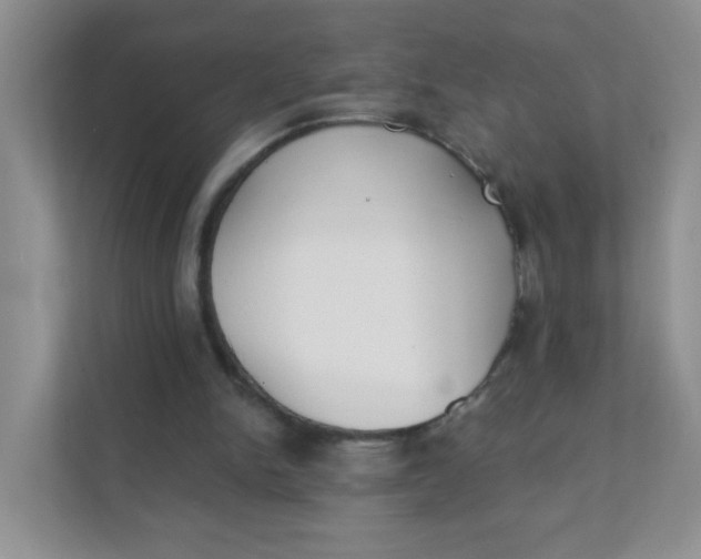 X0000111380150200907311100