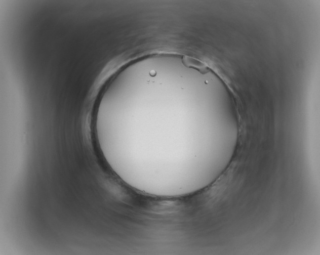 X0000111380151200907311100