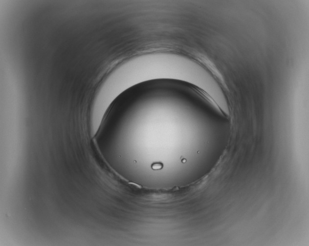 X0000111380154200907311100