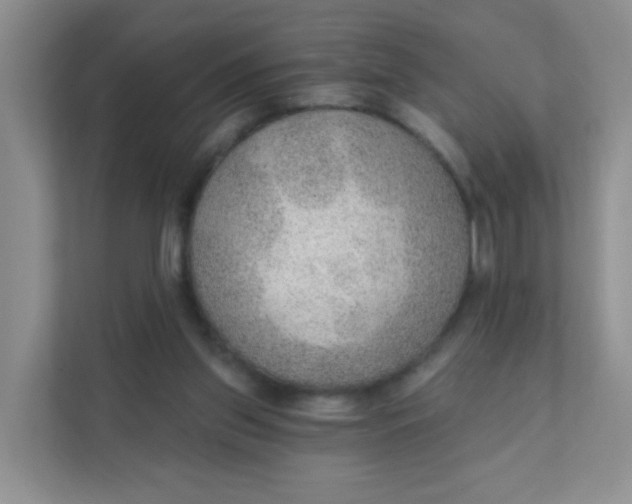 X0000111380157200907311100