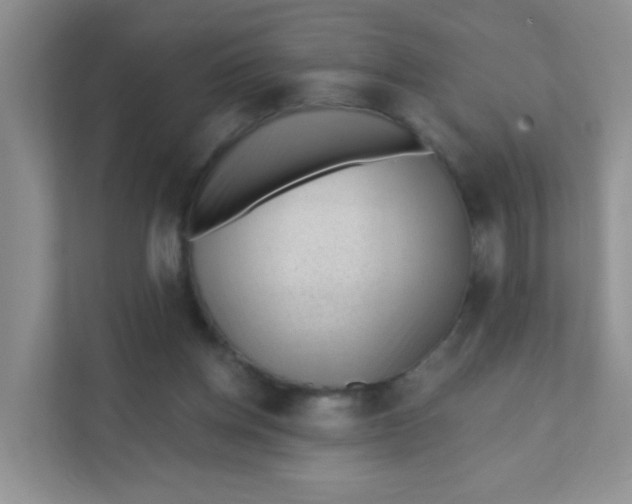 X0000111380158200907311100