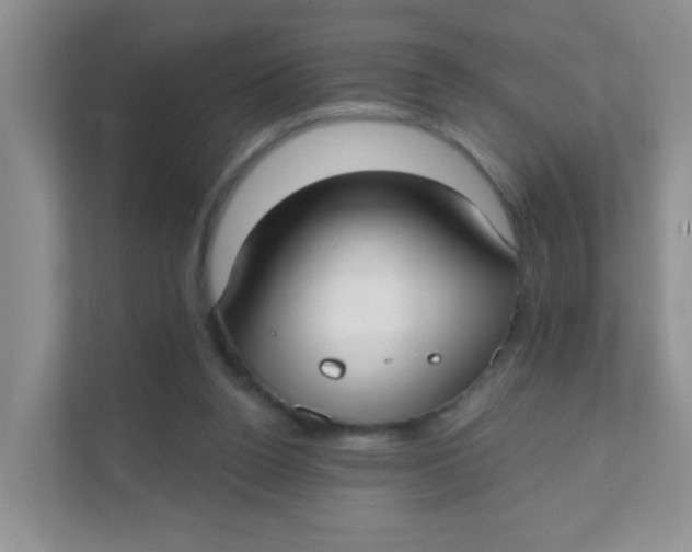 X0000111380160200907311100