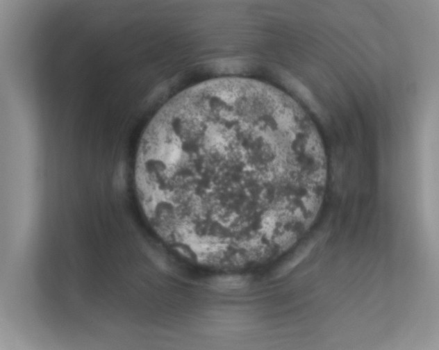 X0000111380161200907311100