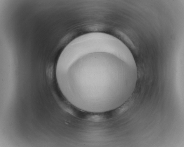 X0000111380163200907311100