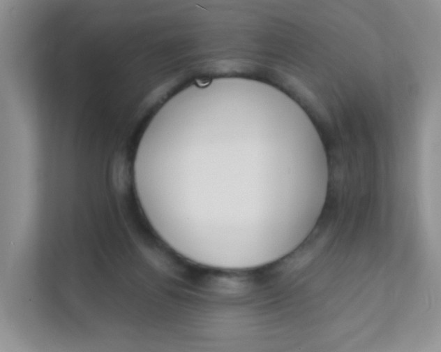 X0000111380164200907311100