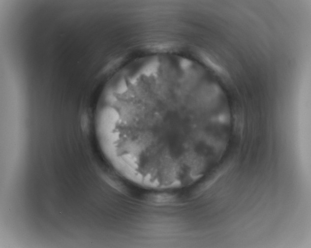 X0000111380165200907311100