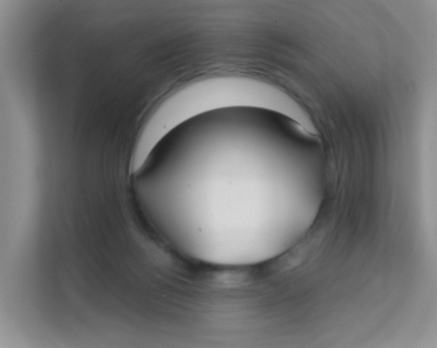 X0000111380168200907311100