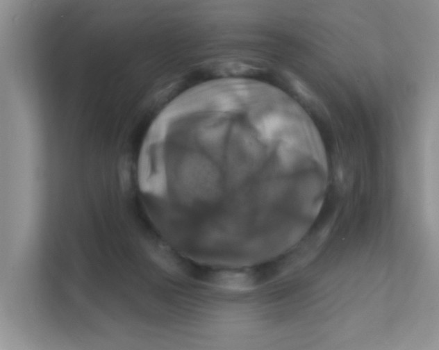 X0000111380169200907311100