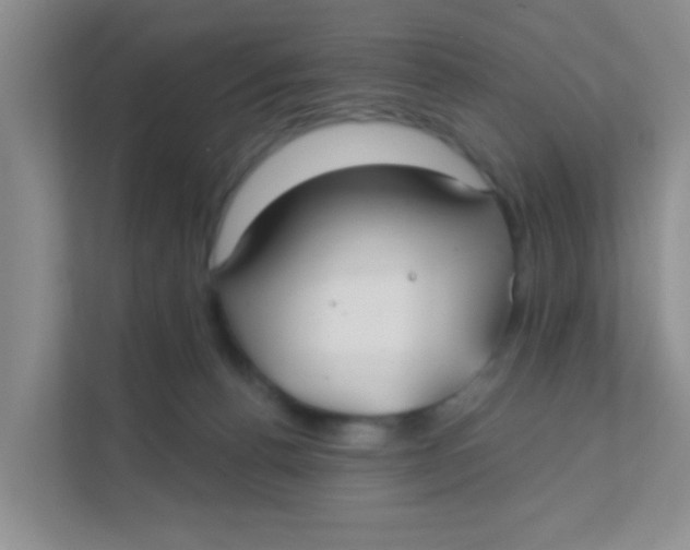 X0000111380176200907311101