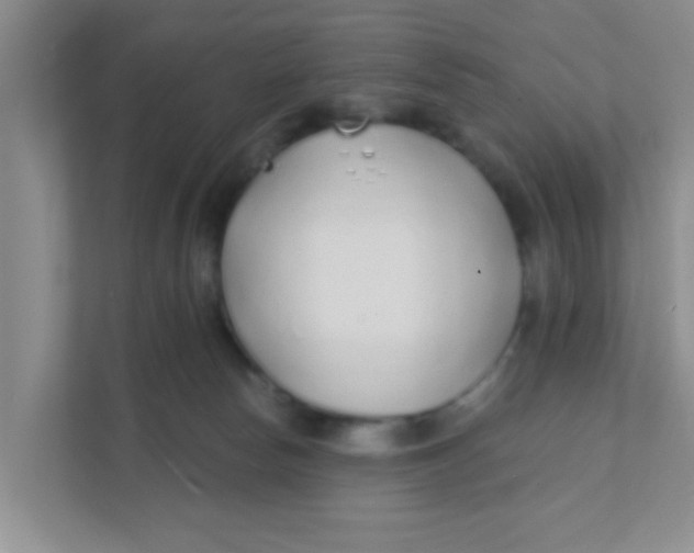 X0000111380178200907311101