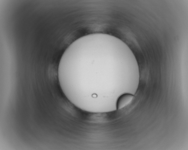 X0000111380179200907311101