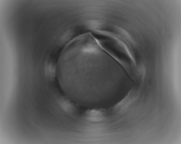 X0000111380180200907311101