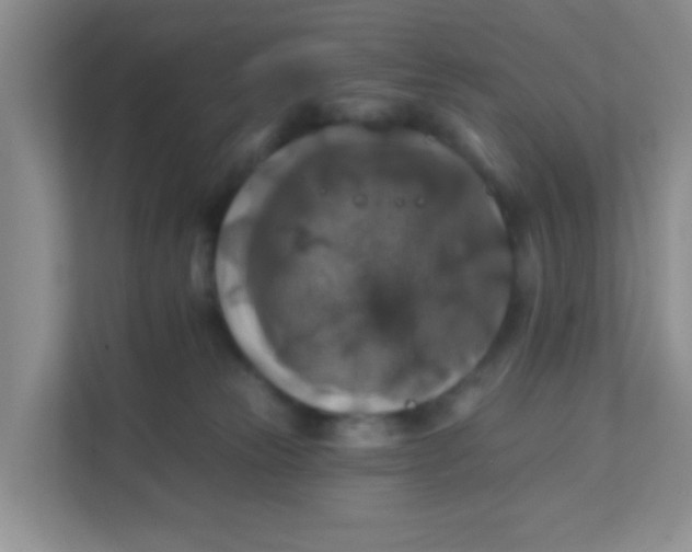 X0000111380181200907311101