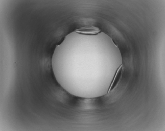 X0000111380184200907311101